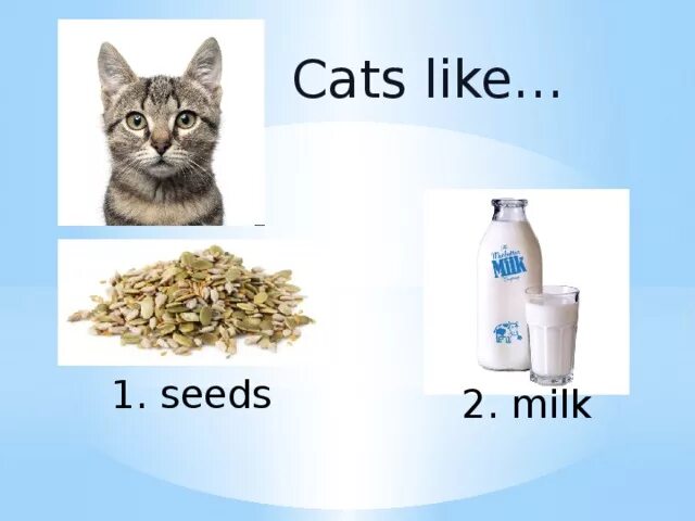 Cats like Milk. Cat likes Milk как правильно. Cat like Milk illustration. Do you like Cats?. His cat likes