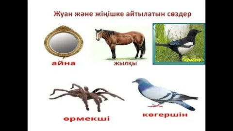 Менің әйелімнің фотосы