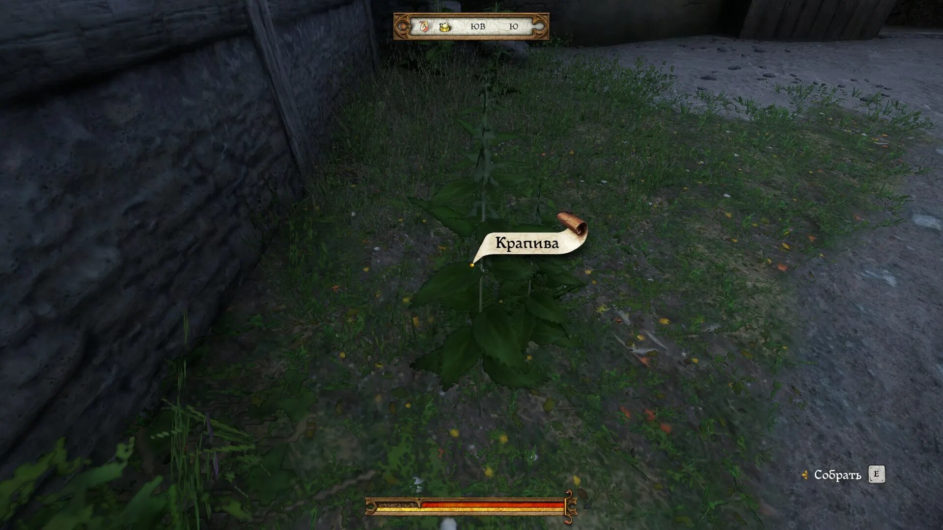 Kingdom come сохранения без шнапса. Рецепт спасительного шнапса kingdom come deliverance. где растет белладонна кингдом кам.
