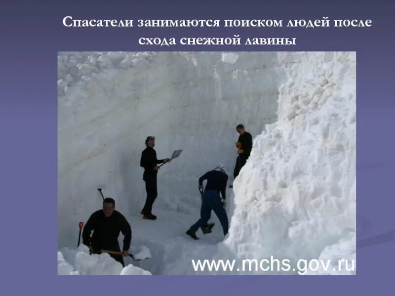 Занимается поисками