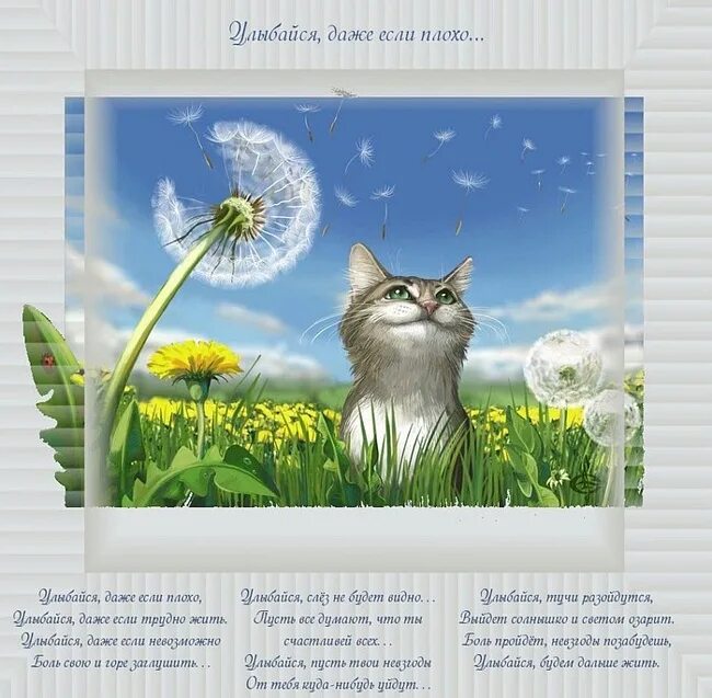 песня даже если плохо. даже если мы не вместе. песня даже если плохо. даже если бросили друг друга. у меня всё хорошо стихи.