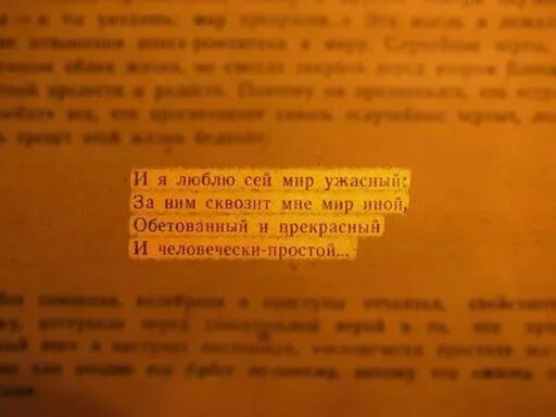 высказывания из книг. текст книга цитаты. цитаты о книгах и чтении. текст книга цитаты. цитаты про книги.