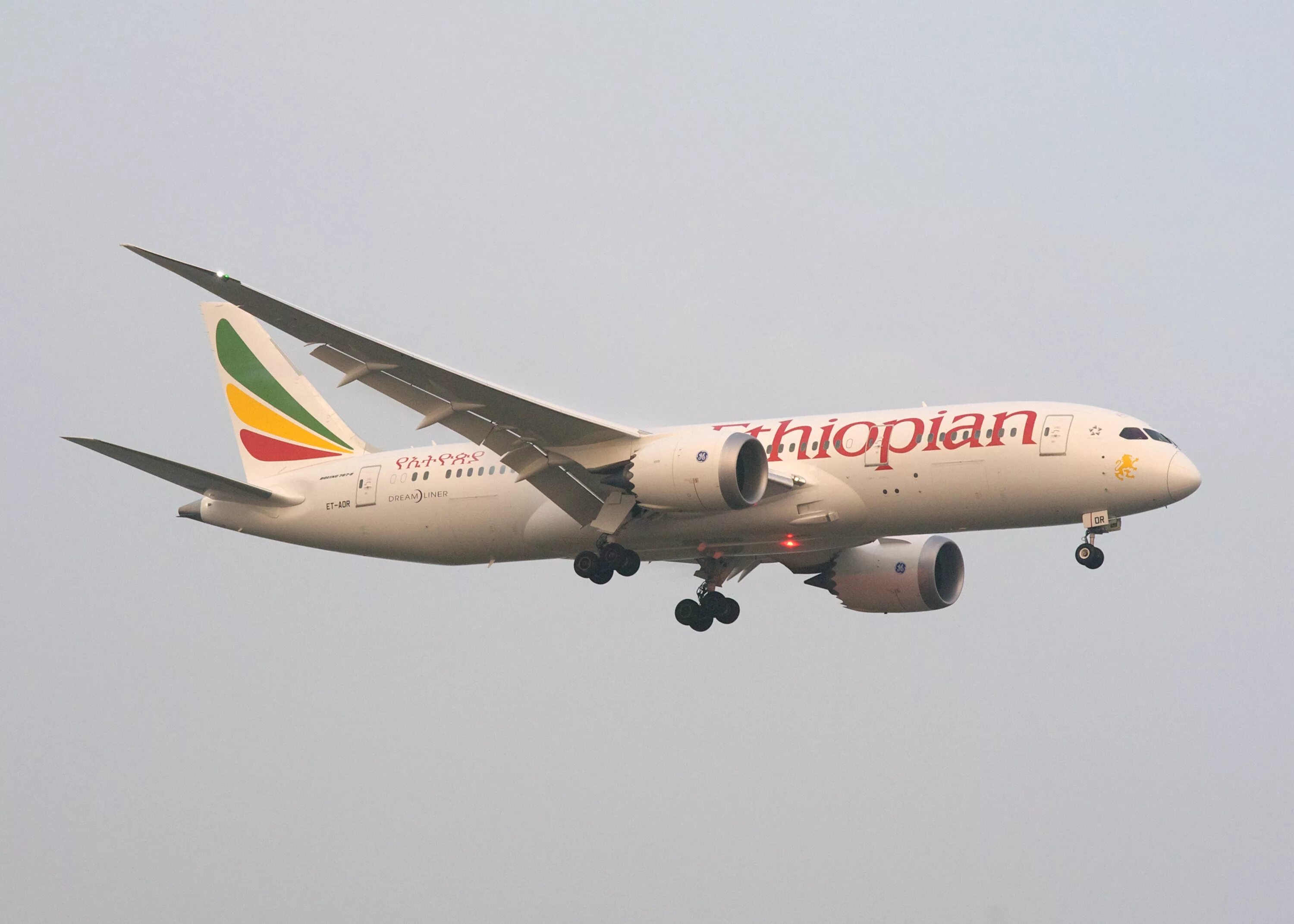 Ethiopian Boeing 787. Боинг 787 Дримлайнер эфиопские авиалинии. Boeing 737 8 Ethiopian. Boeing 737-800 эфиопские авиалинии. Boeing 787 ethiopian airlines