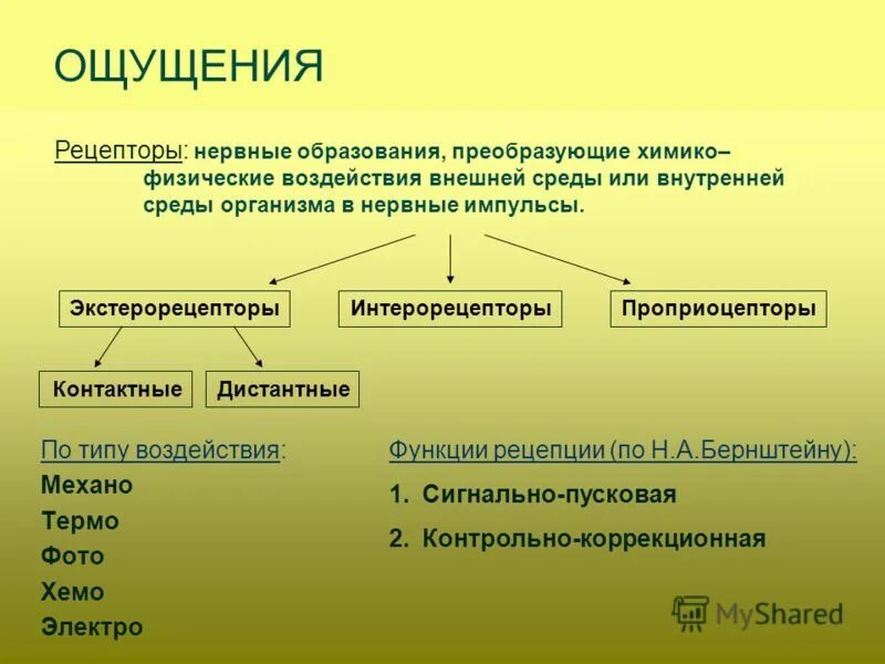 Физические ощущения это. Ощущение это в психологии. Ощущение это в психологии определение. Природа ощущений. Процессы ощущения в психологии.