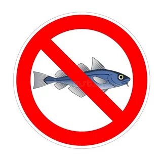 Во время нереста рыб запрещено ловить