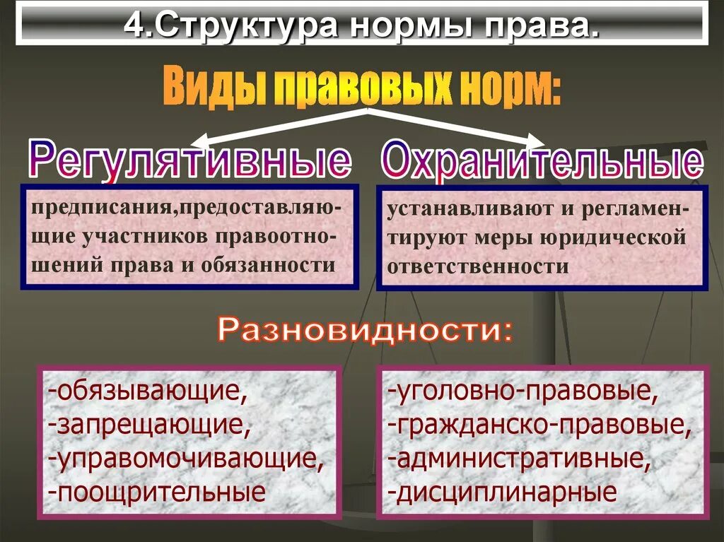 Структура юридической нормы. Ооо право норм