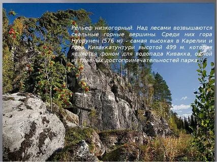 Возвышается над лесом слов