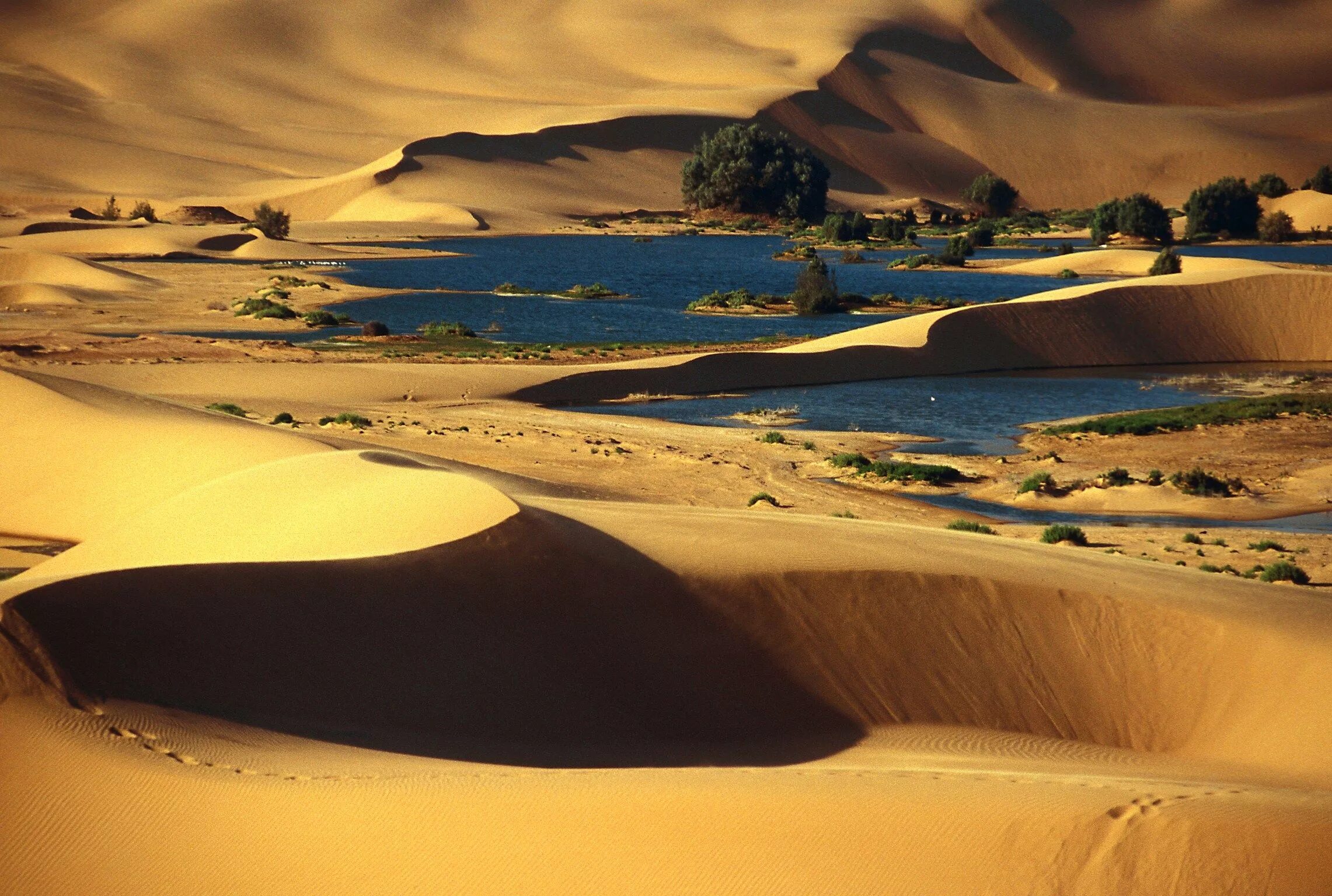 Покажи оазис. Пустыня сахара Оазис. Сахара Марокко Оазис. Озера Убари Ливия. Оазис Убари Ливия.