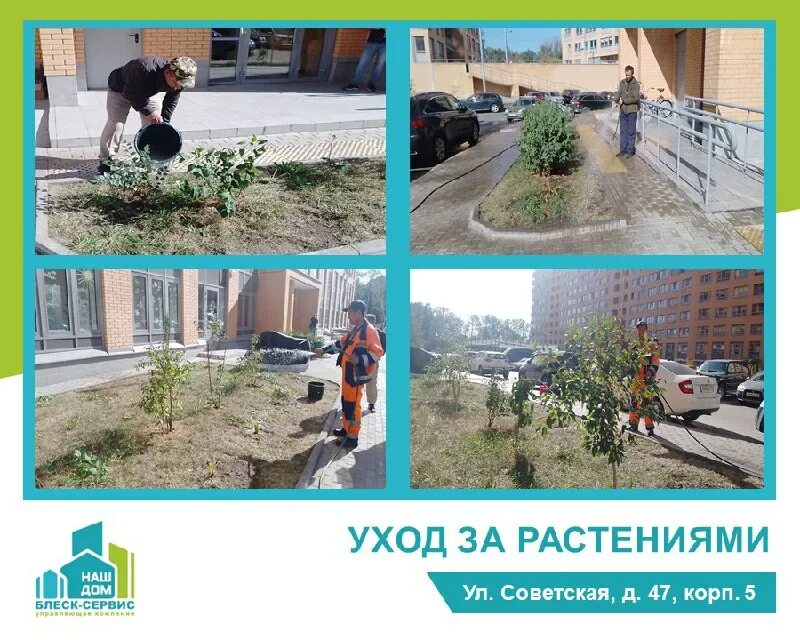 управляющая компания блеск сервис