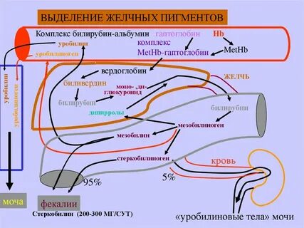 C билирубина