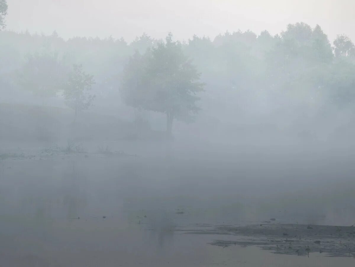 Утром поднялся туман. Туман фото. Магадан утро туман. Утренние фотографии. Над травою поднялся туман.
