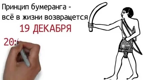 2024 год бумеранга