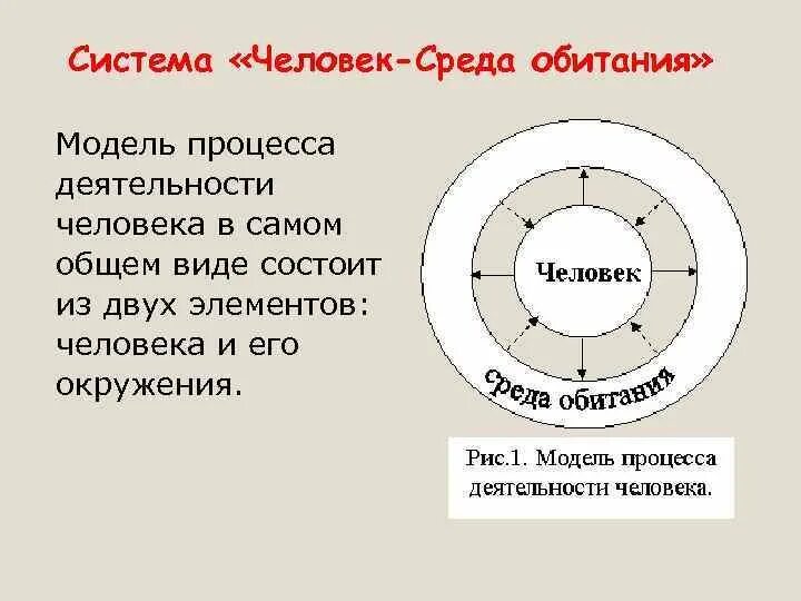 Система человек среда обитания. Модели среды обитания человека.. Человек-среда обитания БЖД. Система человек среда.