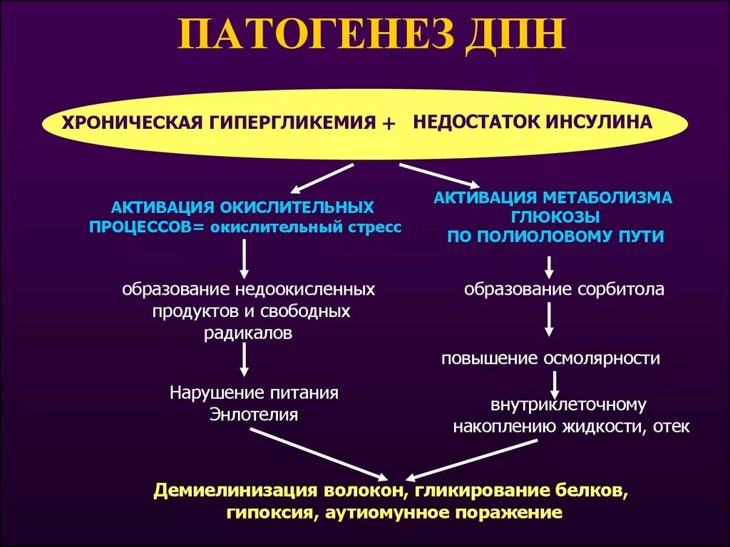 Механизм развития ранних осложнений сахарного диабета. Патогенез осложнений сахарного диабета. Патогенез поздних осложнений сахарного диабета. Патогенез хронических осложнений сахарного диабета. Острые и хронические осложнения