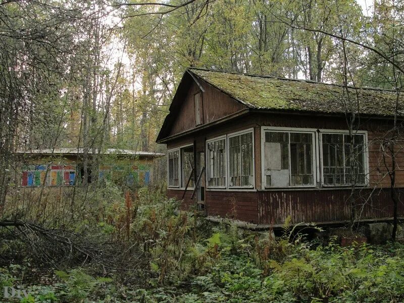 Лесное васкелово. Заброшенный лагерь Березка Васкелово. Васкелово лагерь Березка. Пионерский лагерь Березка Васкелово. Заброшенный детский лагерь Васкелово.