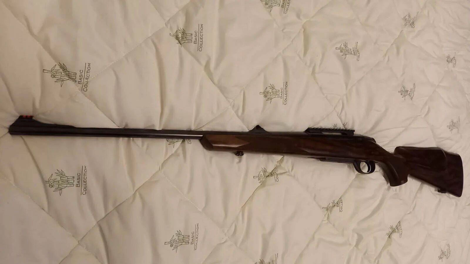 Тайга 9. Елово пихтовая тайга. Тайга 9. Zoli focus 2 9. Сибирская тайга россии.