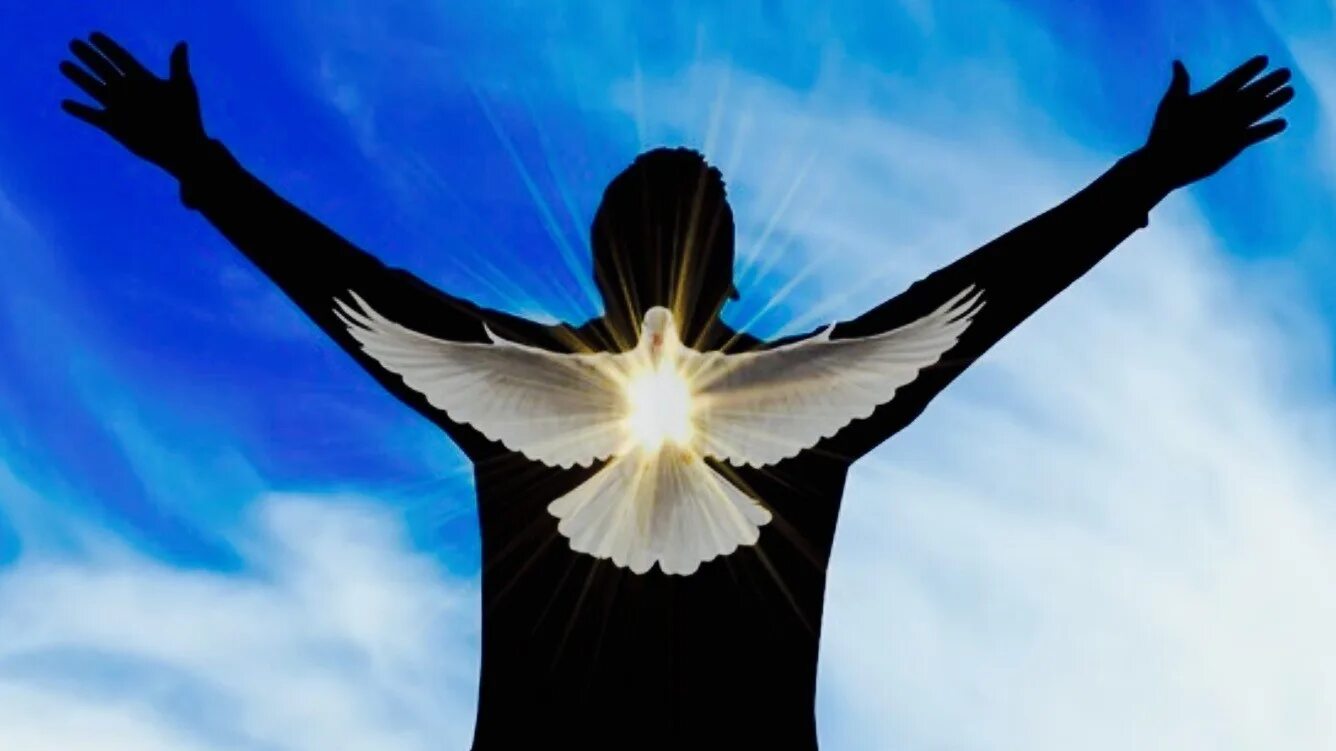 Дух святой народ. Бог любви. Господь иисус христос. Сошествие святого духа голубь. Бог любви.