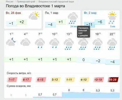 Погода во владивостоке сегодня по часам 2024