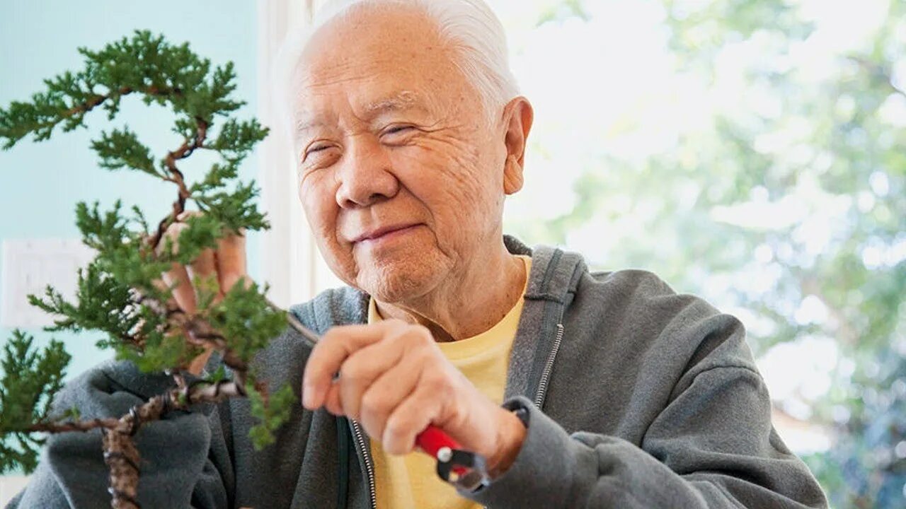 Творческого долголетия человека. Долгожители Окинавы. Долгожители Японии. Старики в Японии. Пожилые люди в Японии.