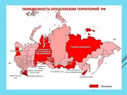Самара бруцеллез