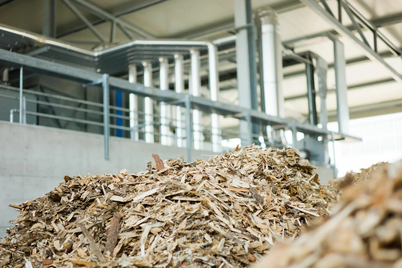 лигноцеллюлозная биомасса. биомассы древесных отходов. биомасса биосферы кратко. биомасса (biomass) 2021. накопление биомассы.