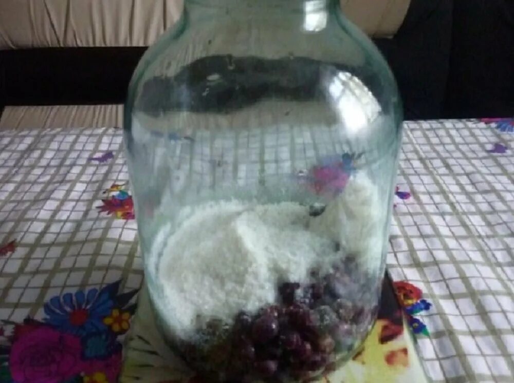 Компот из винограда на зиму на 3. Компот из винограда на зиму на 3 литровую банку. компот из винограда на зиму без стерилизации. компот из винограда в 3 литровой банке. компот из винограда на зиму на 2 литровую банку без стерилизации.