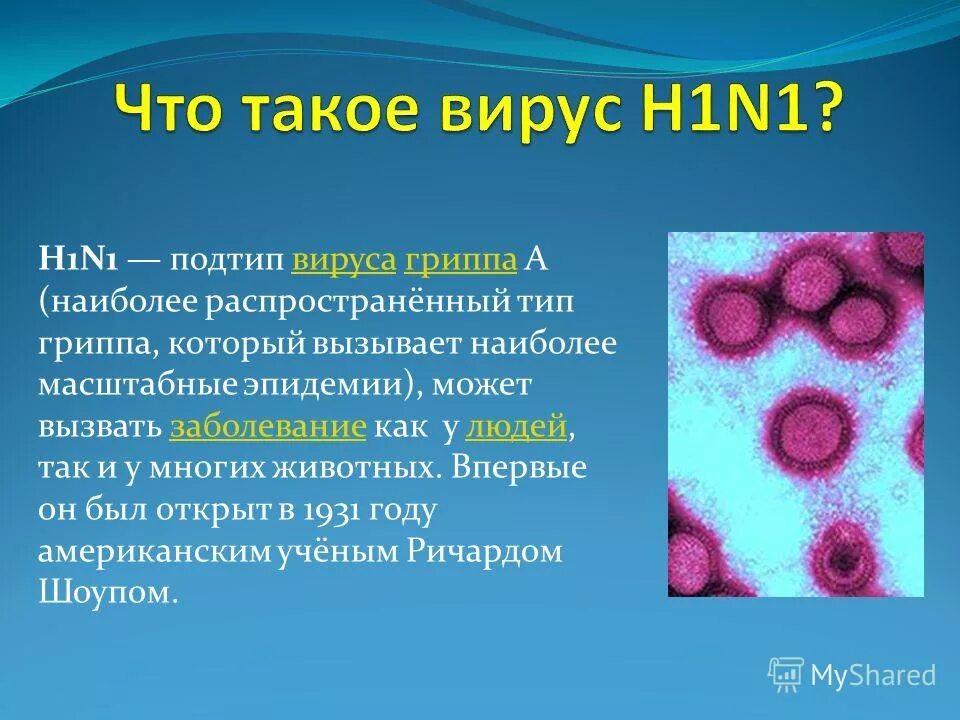 Тяжелые вирусные