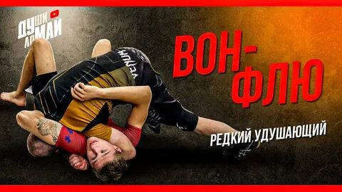 Флю файт