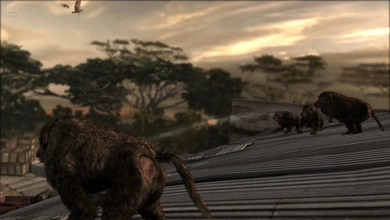 Cabela s dangerous hunts. Cabelas dangerous hunts 2011. cabela&#039;s dangerous hunts 2013. cabela&#039;s dangerous hunts 2009. dangerous hunts 2011 для ps3.
