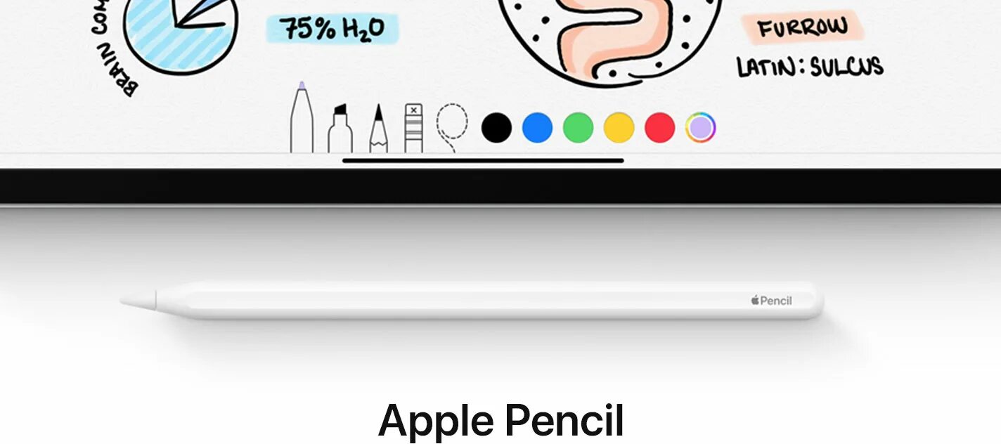 АПЛ пенсил. Русский язык на Apple Pencil. Apple Pencil New. Apple Pencil подключение. Пенсил песня