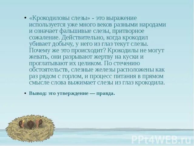 Крокодиловы слезы текст впр. Фразеологизм крокодиловы слезы. выражение крокодиловы слезы. крокодиловы слезы происхождение. крокодиловы слёзы значение фразеологизма.