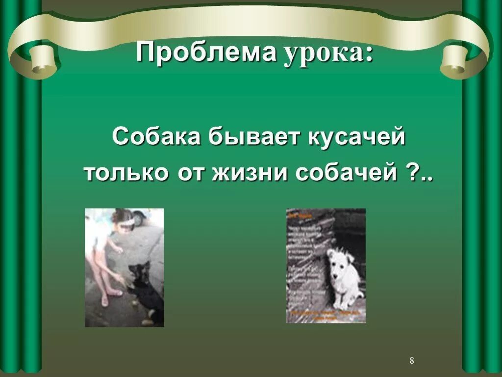 Собака бывает кусачей слова. Собака бывает кусачей. Собака бывает кусачей песня. Собака бывает кусачей пословица. От жизни собачей текст.