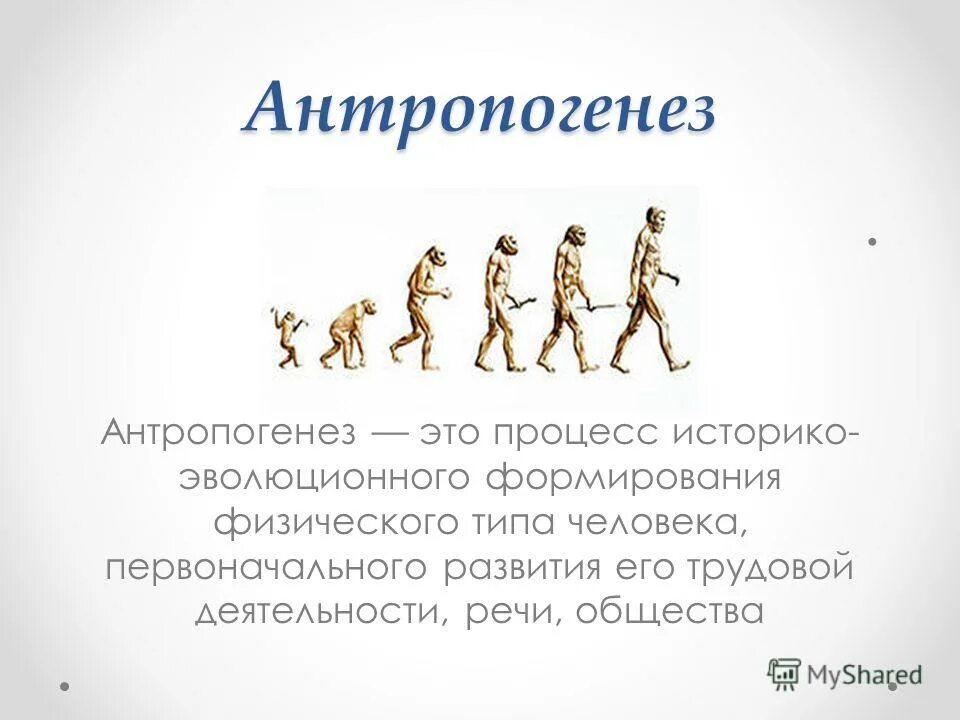 Антропогенез человека 9 класс. Ступени развития человека Антропогенез. Антропогенез это процесс историко-эволюционного. Антропогенез Эволюция человека 9 класс. Антропогенез это в психологии.