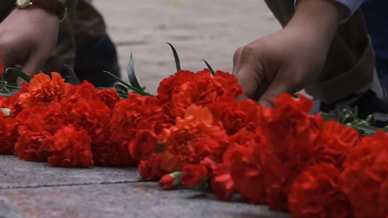 Альбом в память жертв теракта. День памяти жертв терроризма. Международный день памяти и поминовения жертв терроризма. День памяти жертв акт терроризма.