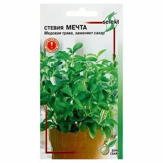 Стевия семена