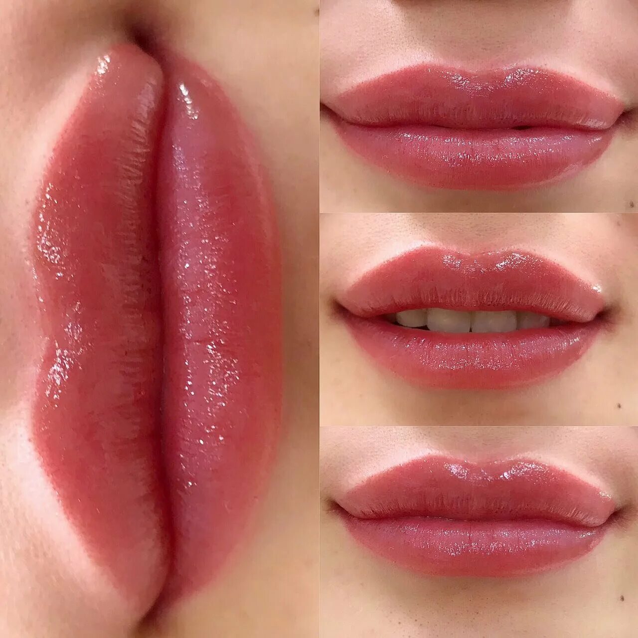 палитра перманентного макияжа губ. палитра пигменты губы для татуажа куцеволовой. перманентный макияж губ цвета палитра. палитра перманентного макияжа губ. татуаж губ цвета.