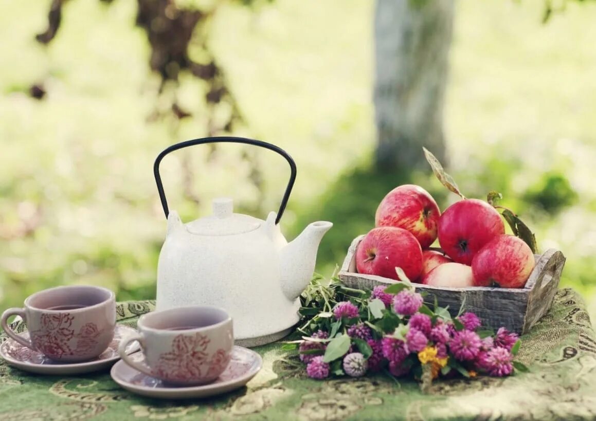 Картинка утро. Чаепитие на природе. Чай на природе. Доброе летнее утро. Лето чаепитие на природе.