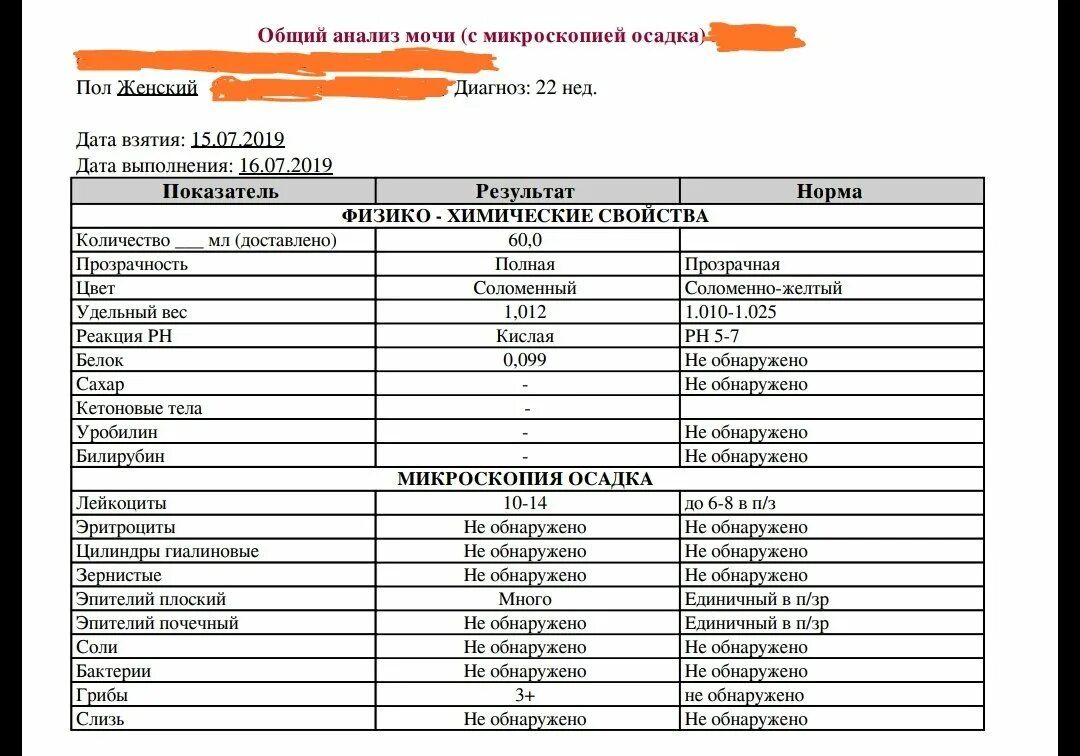 Слизь в моче норма. Анализ мочи расшифровка у мужчин слизь. Показатель норма слизи в моче. Норма слизи и бактерий в моче.