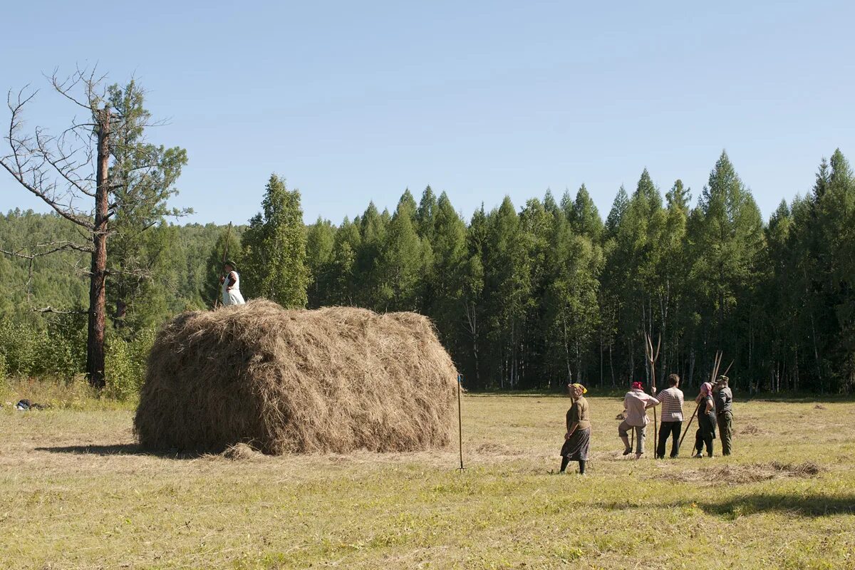 Омет соломы. Сенокос скирда. Скирд соломы. Скирда фото. Скирда омёт копна.