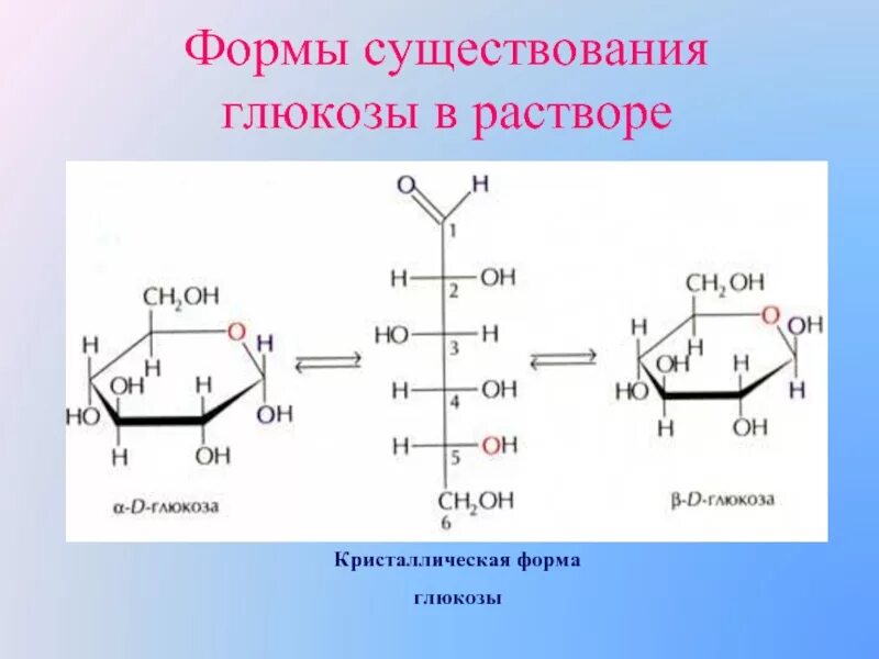 Формы существования Глюкозы в растворе. Форма Глюкозы кристаллическая. Кристаллы Глюкозы. Кристаллическое строение Глюкозы.