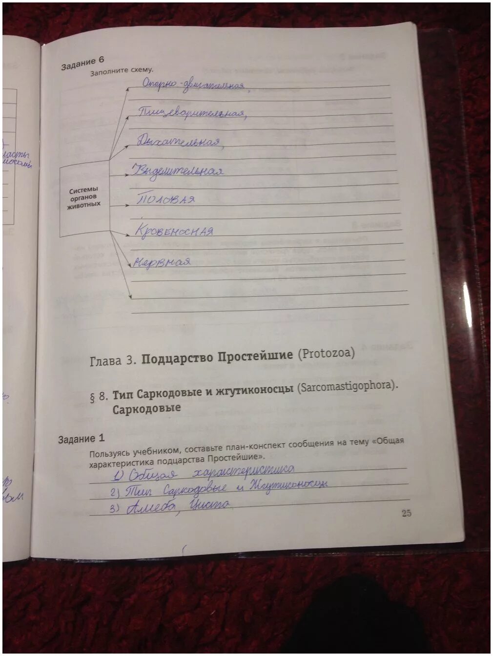 Биология 7 класс суматохин кучменко. Гдз рабочая тетрадь 7 класс суматохин кучменко. суматохин 7 класс рабочая тетрадь. гдз по биологии 7 класс рабочая тетрадь суматохин кучменко 1 часть. биология 7 класс рабочая тетрадь суматохин.