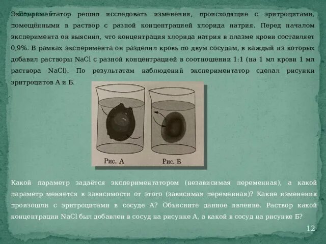 Экспериментатор решил изучить работу сердца амфибий