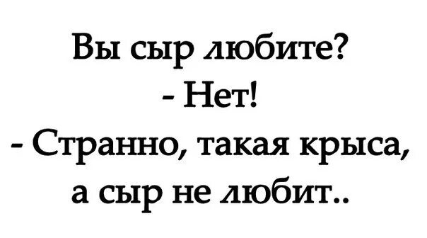 Сырок любимый. Странно такая крыса а сыр не любит. Вы сыр любите нет странно. Такой крыса а сыр не любит. Ты сыр любишь нет странно такая крыса а сыр не любишь.