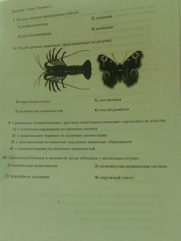 Тест Членистоногие. Тест по биологии 7 класс насекомые. Тест Членистоногие насекомые. Членистоногие тест с ответами. Земноводные контрольная работа 7 класс с ответами