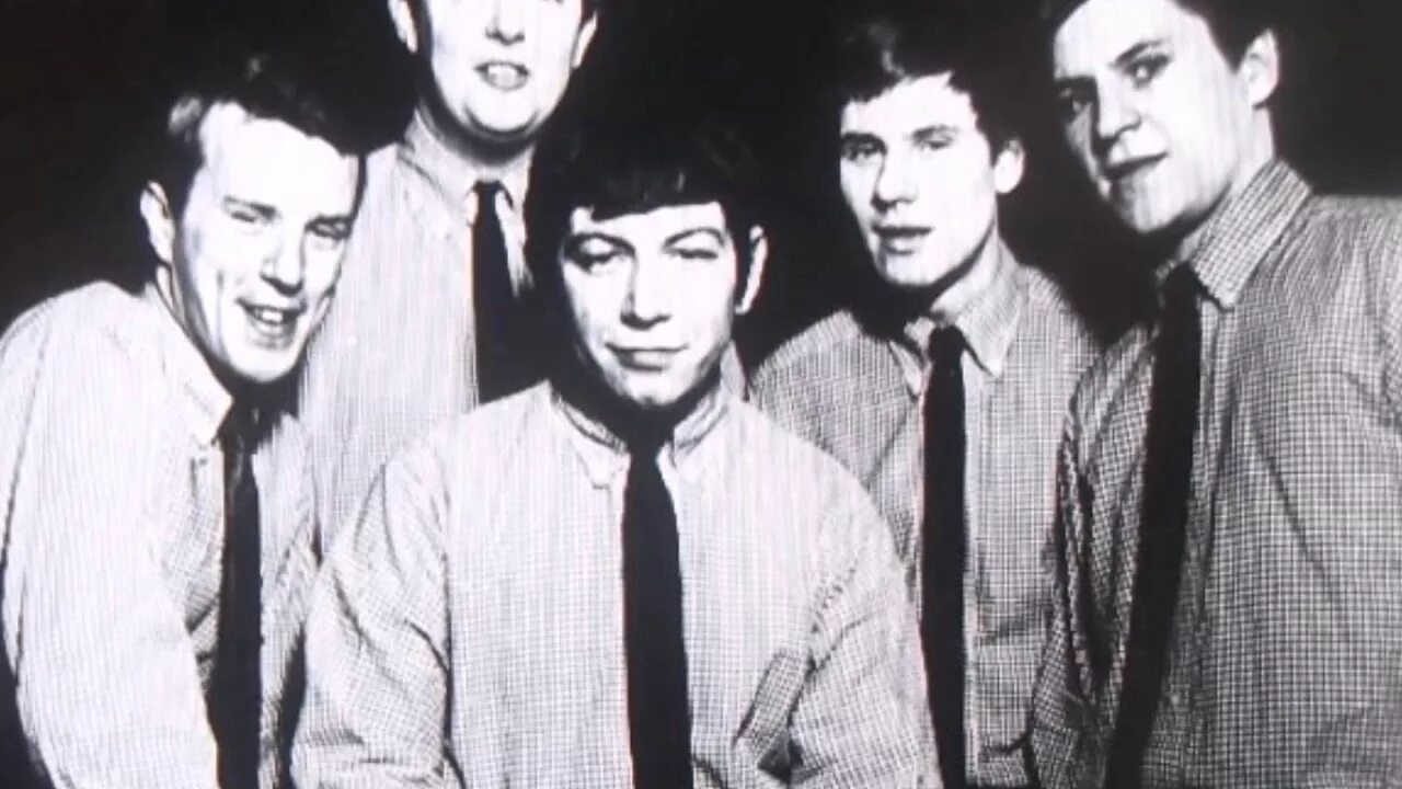 Think the animals. The animals фото. animal для ютуба. boom animals группа. the animals boom boom.