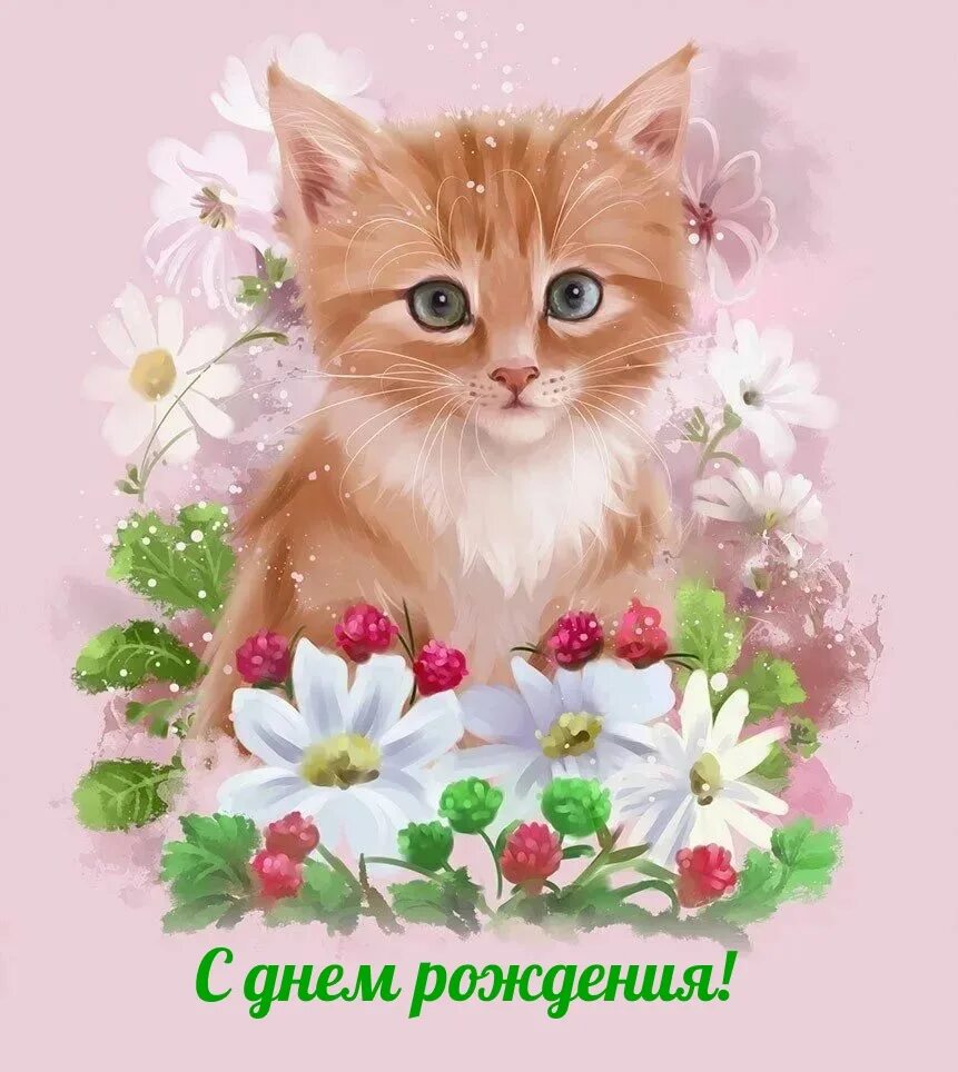 Котик с цветами с днем рождения. Котик с цветочком. Рыжий котенок и цветы. Букет «милый». Котик с цветами.