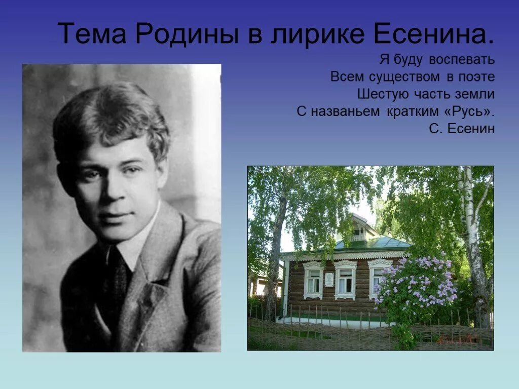 Образ родины в литературе. Родина Есенина природа. На родине Есенина. Тема Родины в лирике Есенина. Родина в лирике Есенина.