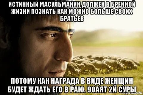 Кто жизнь познал тот больше