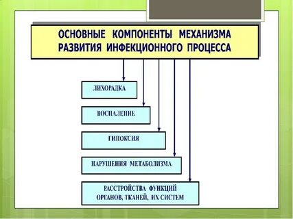 Механизм развития инфекции