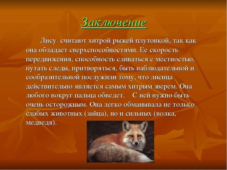 Повадки лисов. Сочинение описание лисы. Сочинение описание лиса. Сочинение описание про лисицу. Сочинение про лису.